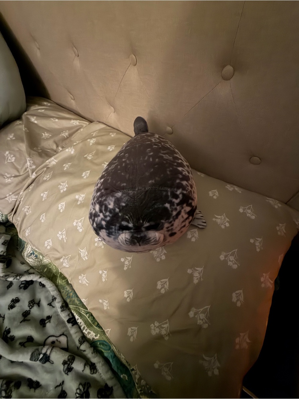 Chubby Blob Seal Stuffed Cotton Plush Animal-  Small
